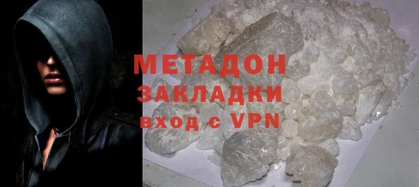 шишки Верея