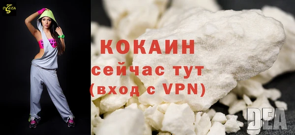 шишки Верея