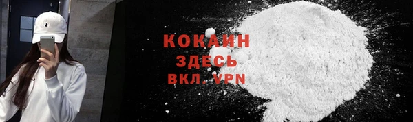 шишки Верея