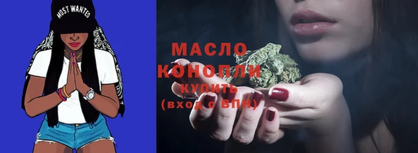 шишки Верея