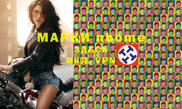 шишки Верея