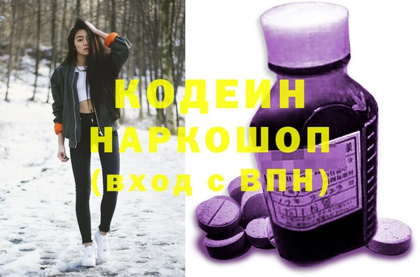 шишки Верея