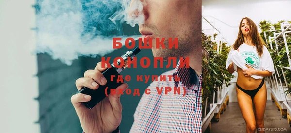 шишки Верея