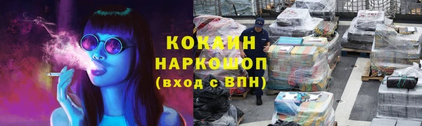 прущие грибы Володарск