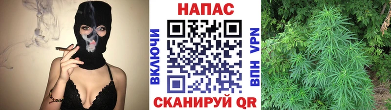 Шишки марихуана Bruce Banner  купить наркотики сайты  Томск 